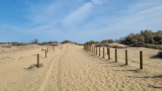 1740864833_2023-GC--Mapalomas dunas-S123-000.jpg